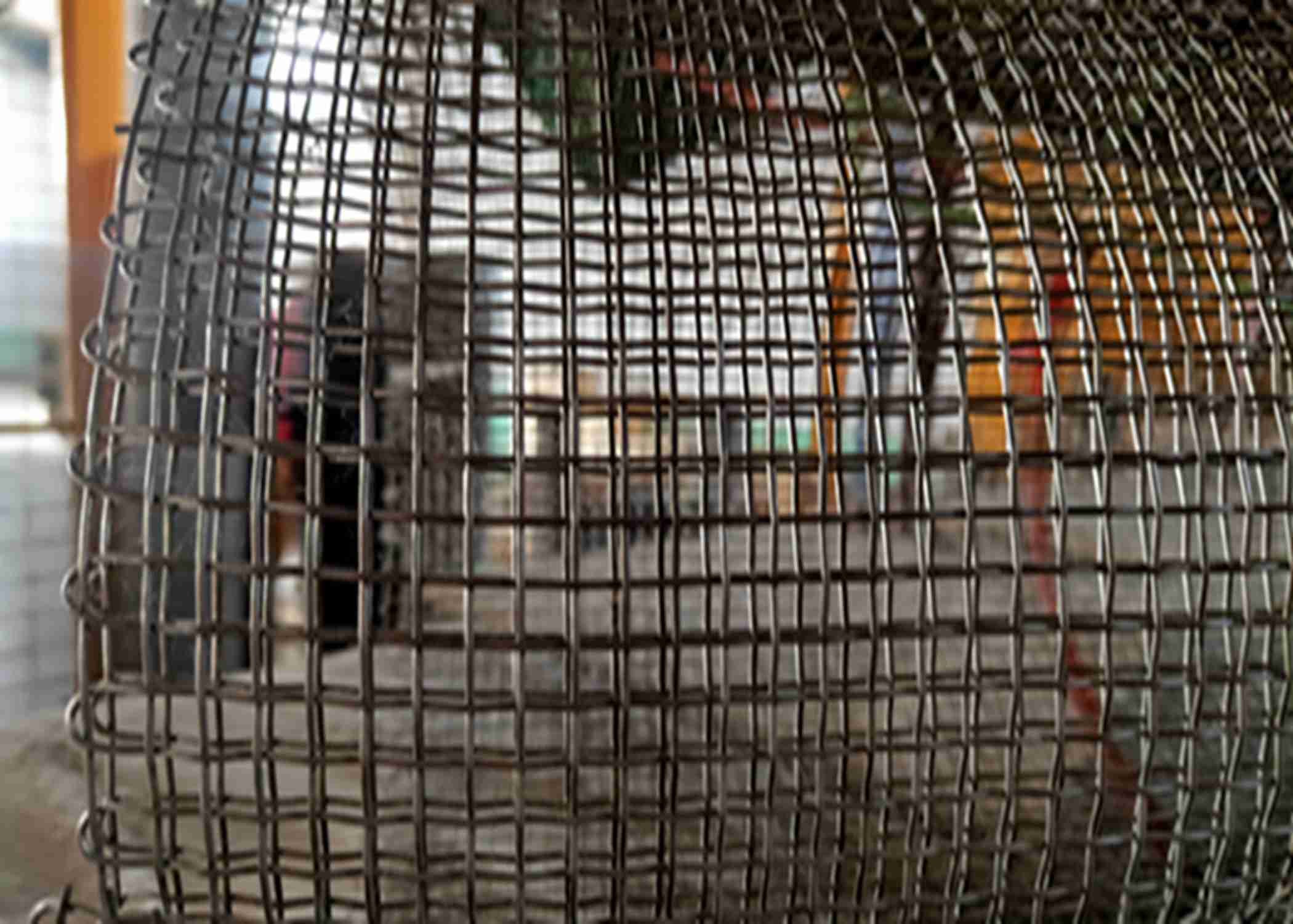 Resistencia a la corrosión Hastelloy C 276 malla de alambre utilizada en el filtro de material de tratamiento de residuos